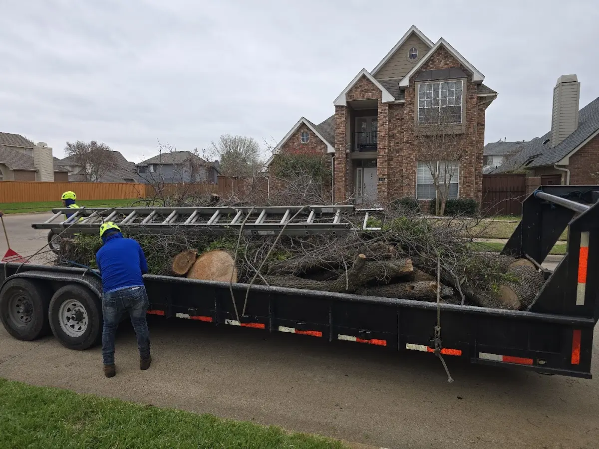 Expert Tree Pest Control with proper safety equipment in Marion